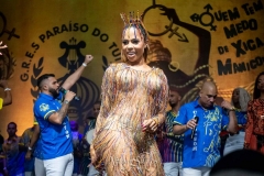 Apresentacao-samba-tuiuti-2025-1076